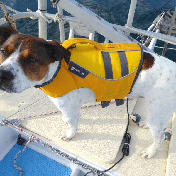 Dog Life Jackets